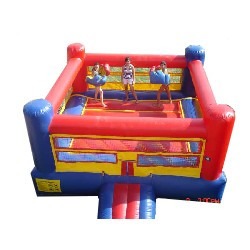 Bouncy Boxing Ring & Gloves